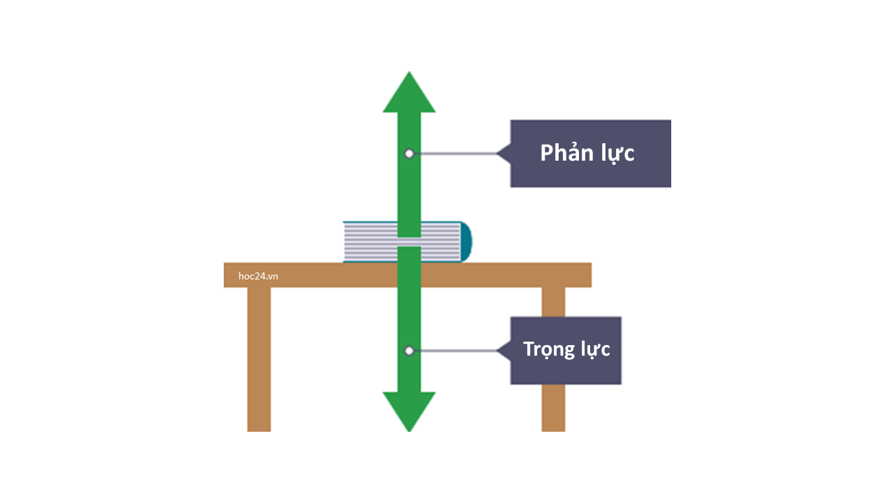 Cách Xác định Chiều Của Momen Lực Hướng Dẫn Chi Tiết Và ứng Dụng Thực Tế